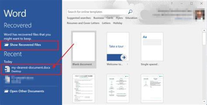 How do I recover a document in Word 2003?