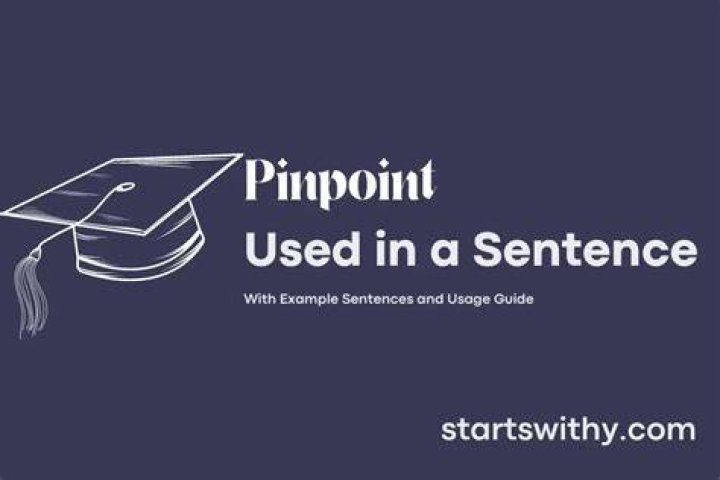 How do you use pinpoint in a sentence?