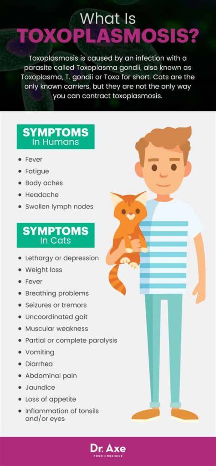 How is toxoplasmosis diagnosed?