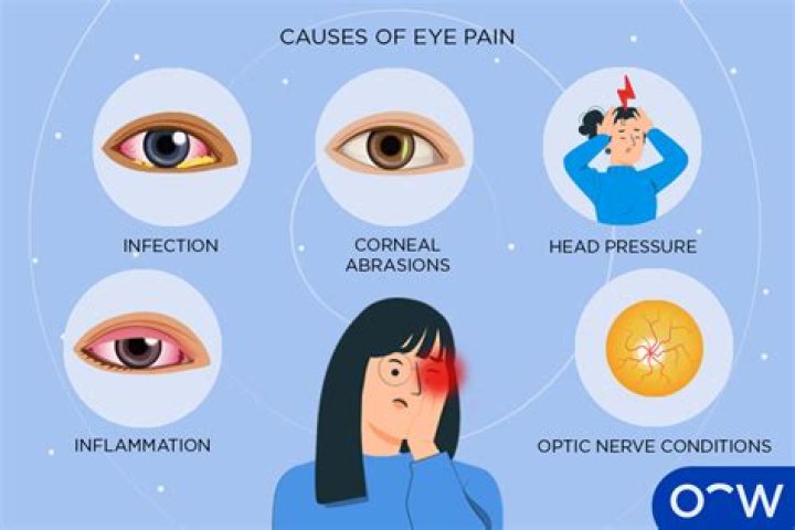 What does it mean when you eyeball something?
